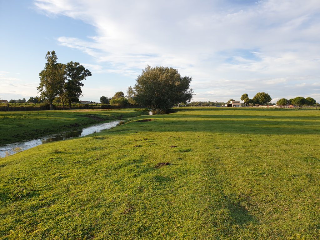 manade gard - manade saint-louis
