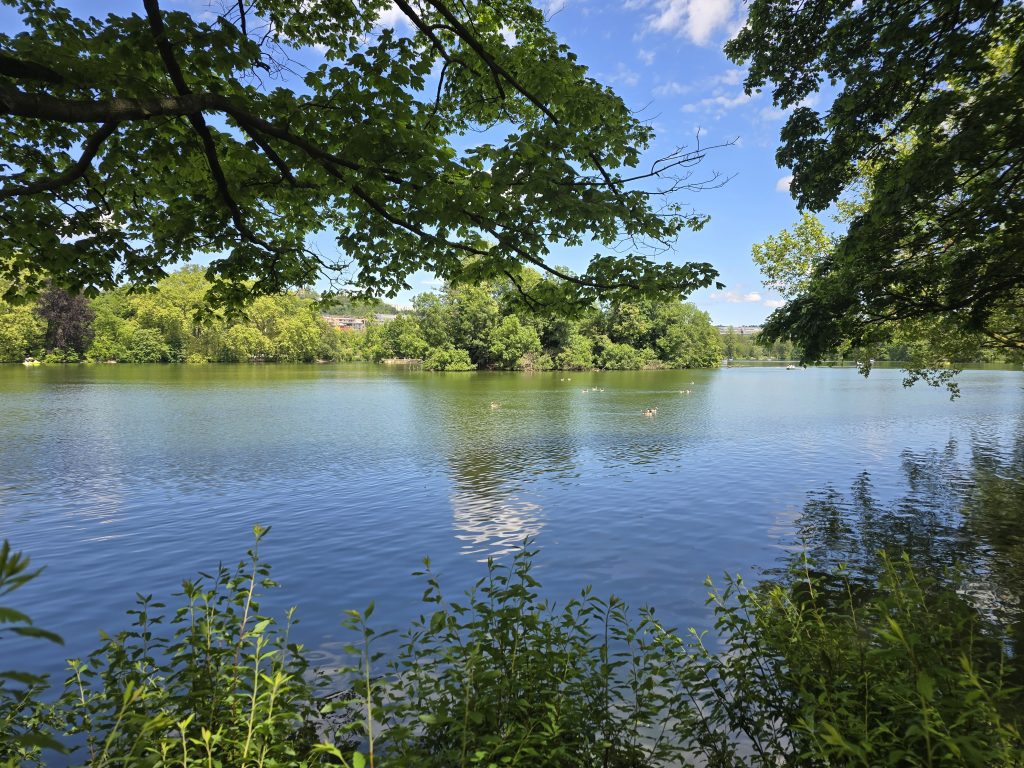 lac du Parc de la Tête d'Or