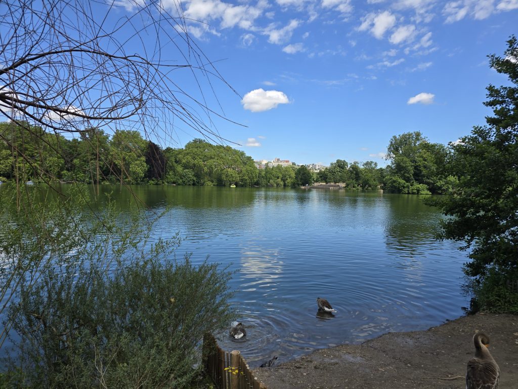 lac du Parc de la Tête d'Or Lyon