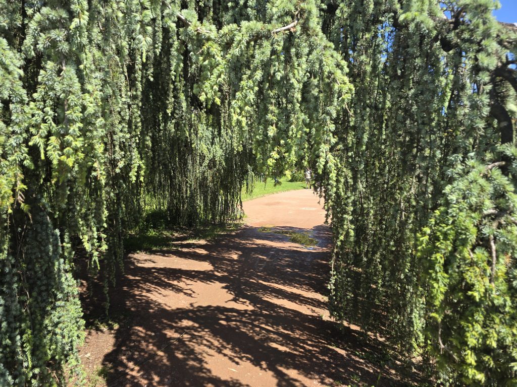 photo parc de la Tête d'Or