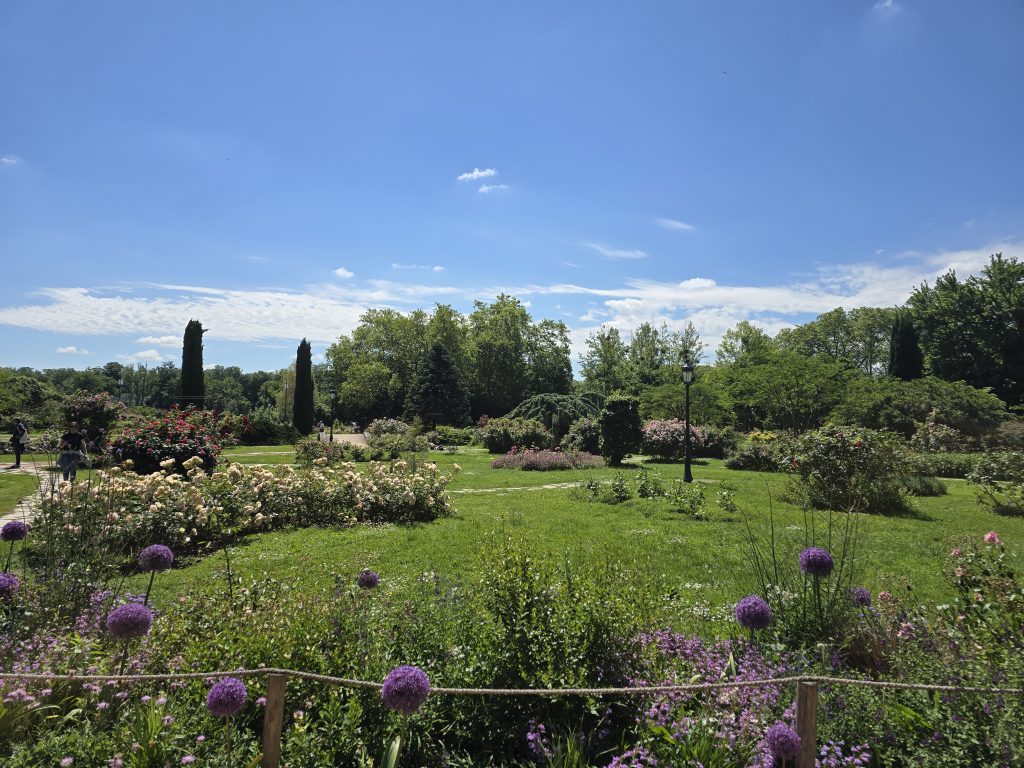 photo parc de la Tête d'Or