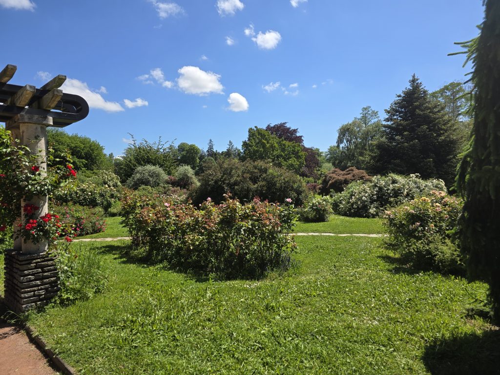 photo parc de la Tête d'Or