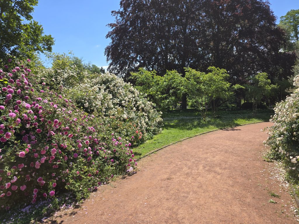 photo parc de la Tête d'Or