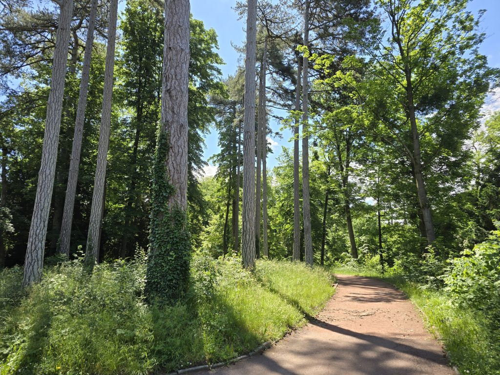 photo parc de la Tête d'Or