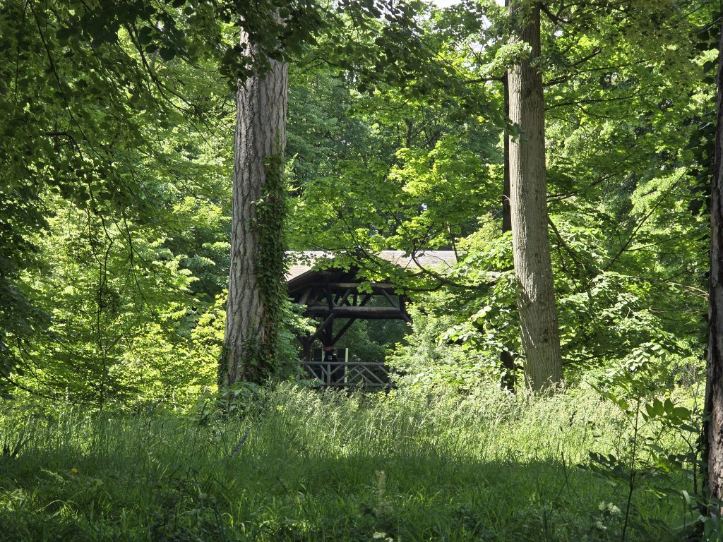 photo parc de la Tête d'Or