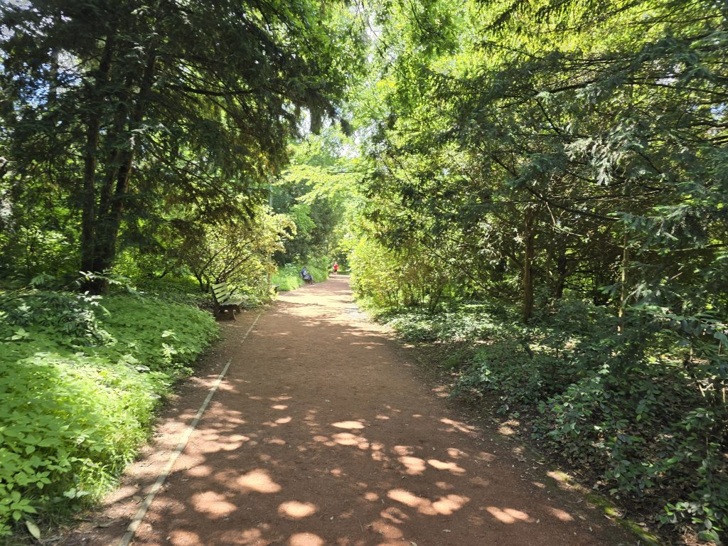 photo parc de la Tête d'Or