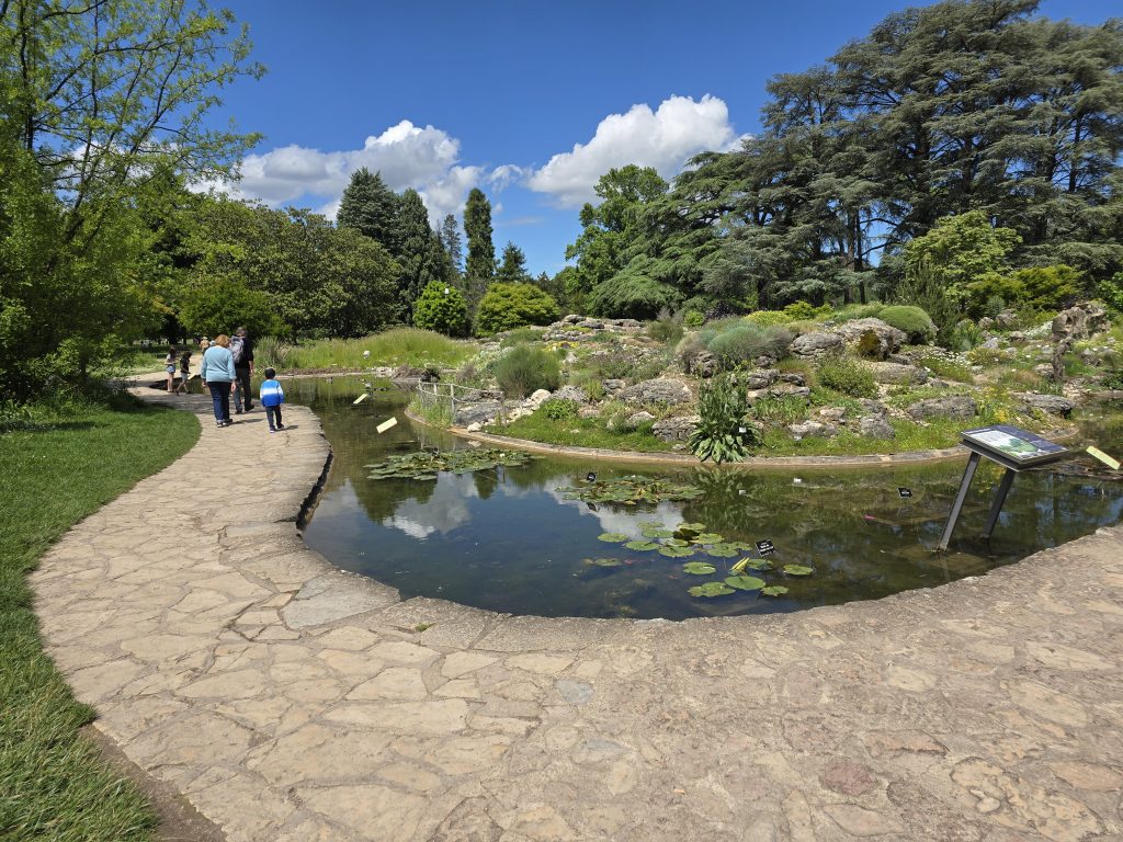 photo parc de la Tête d'Or