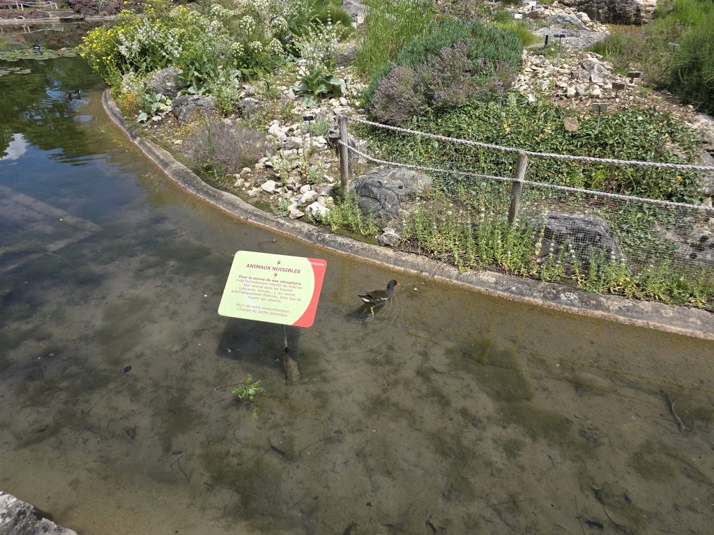 photo parc de la Tête d'Or