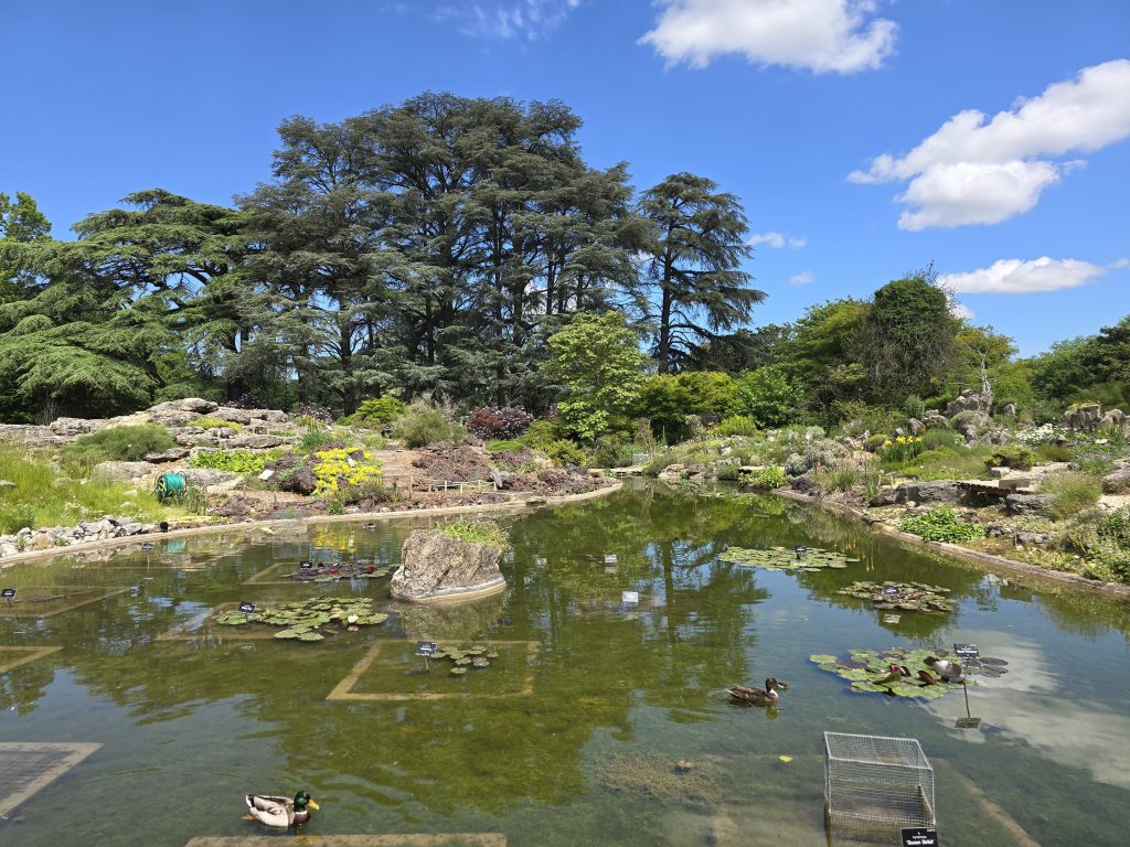 photo parc de la Tête d'Or