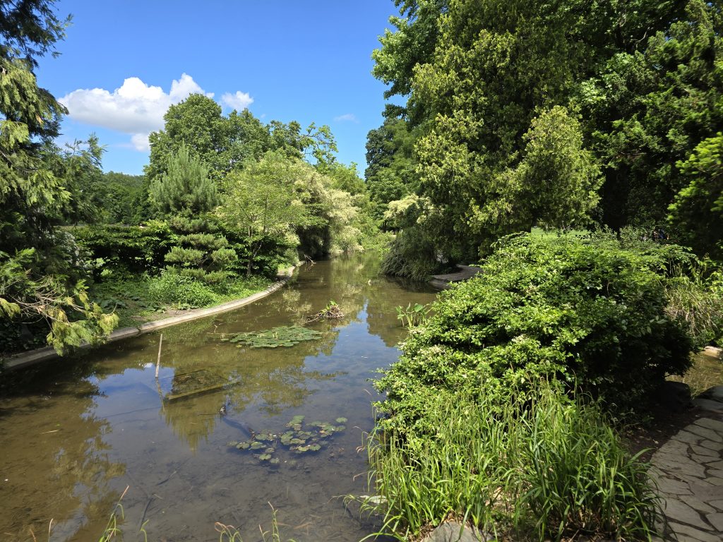 photo parc de la Tête d'Or