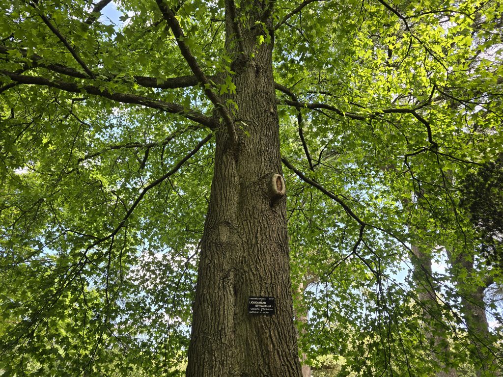 photo parc de la Tête d'Or