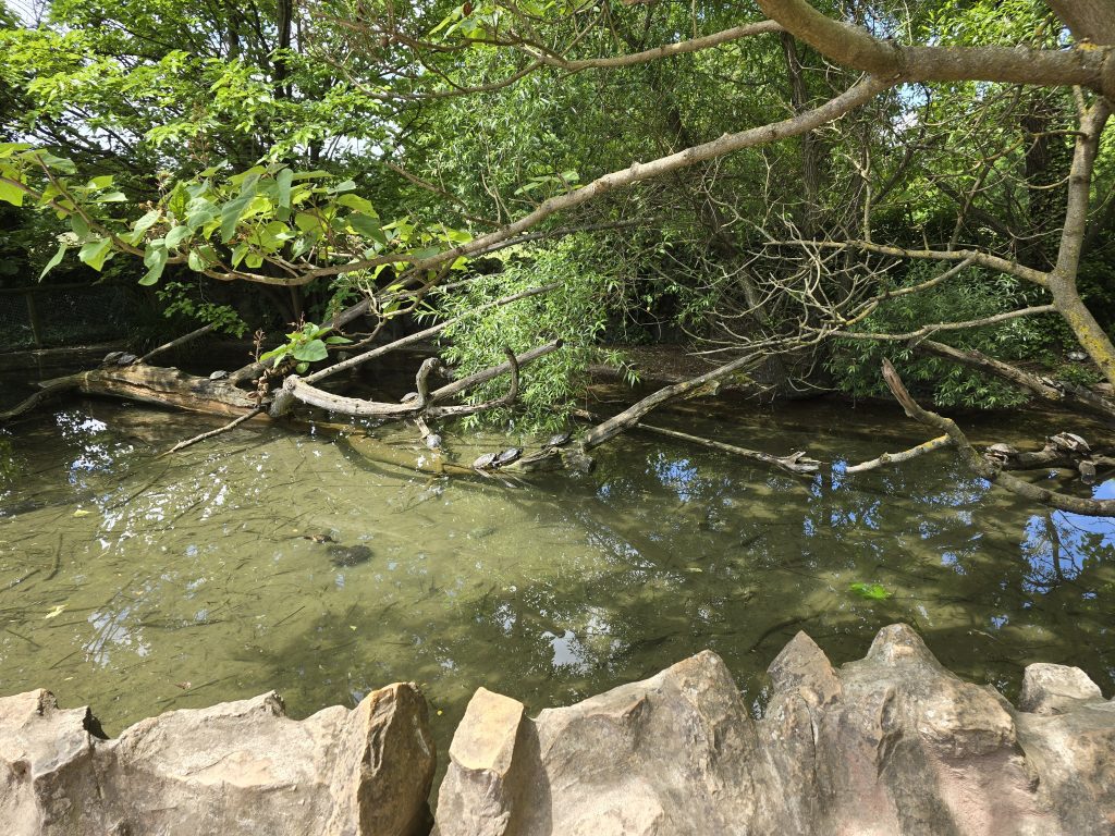 photo parc de la Tête d'Or