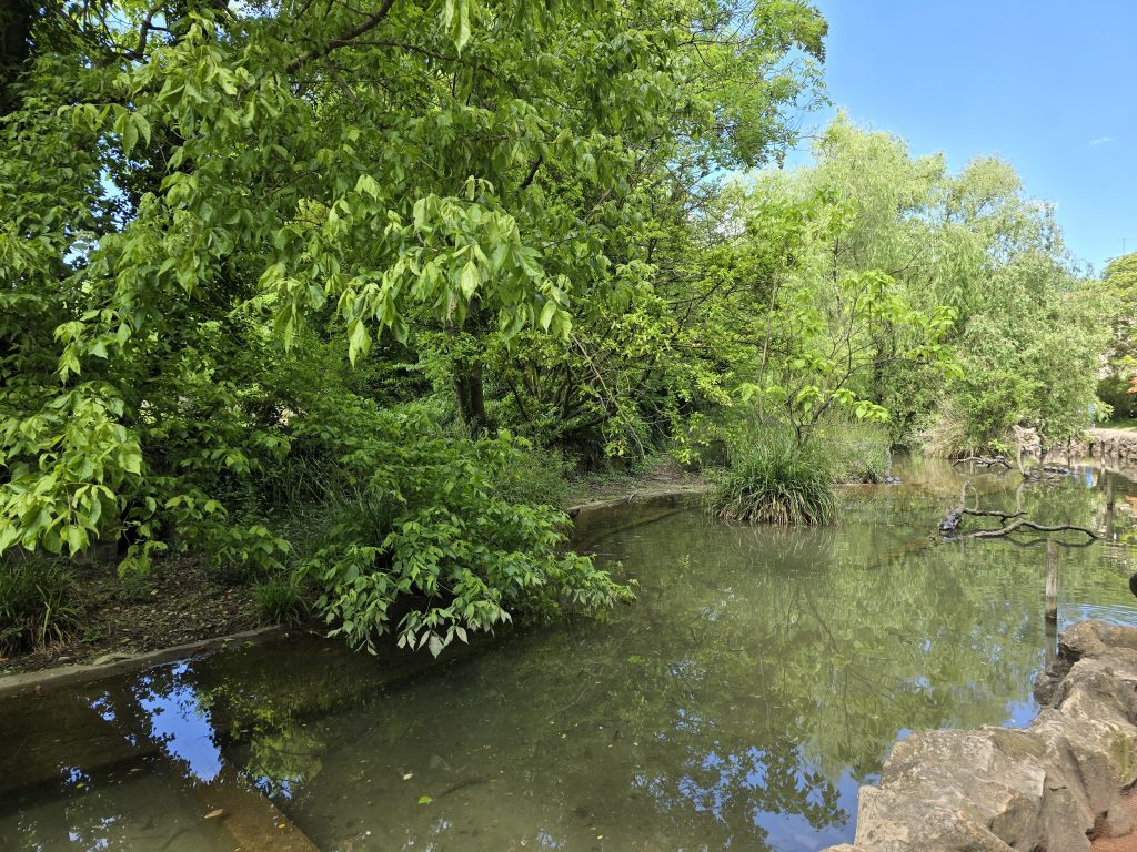 photo parc de la Tête d'Or