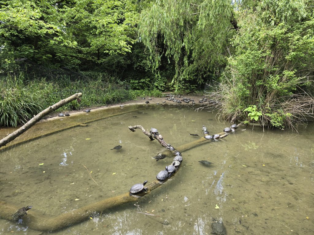 photo parc de la Tête d'Or
