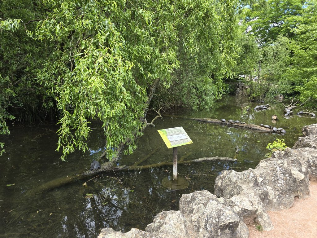 photo parc de la Tête d'Or