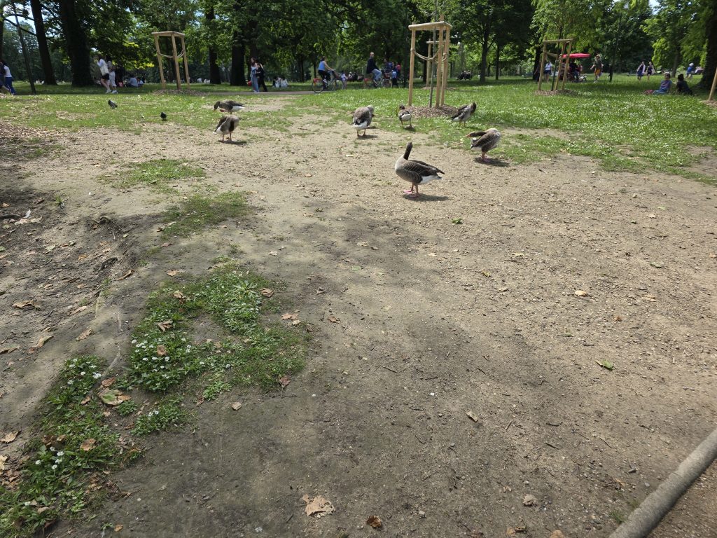 photo parc de la Tête d'Or