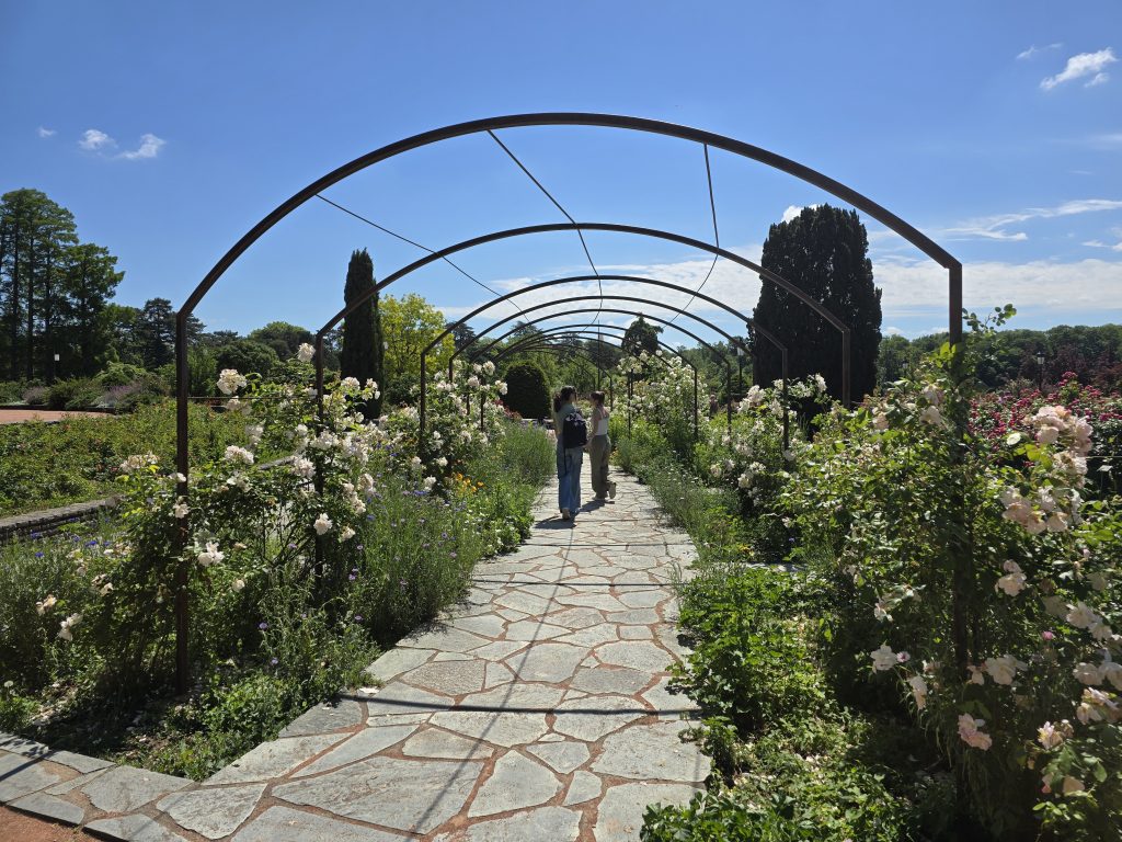 photo parc de la Tête d'Or