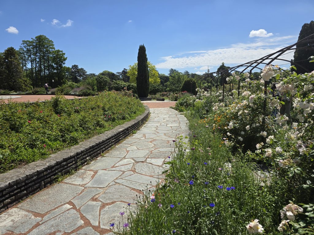 photo parc de la Tête d'Or