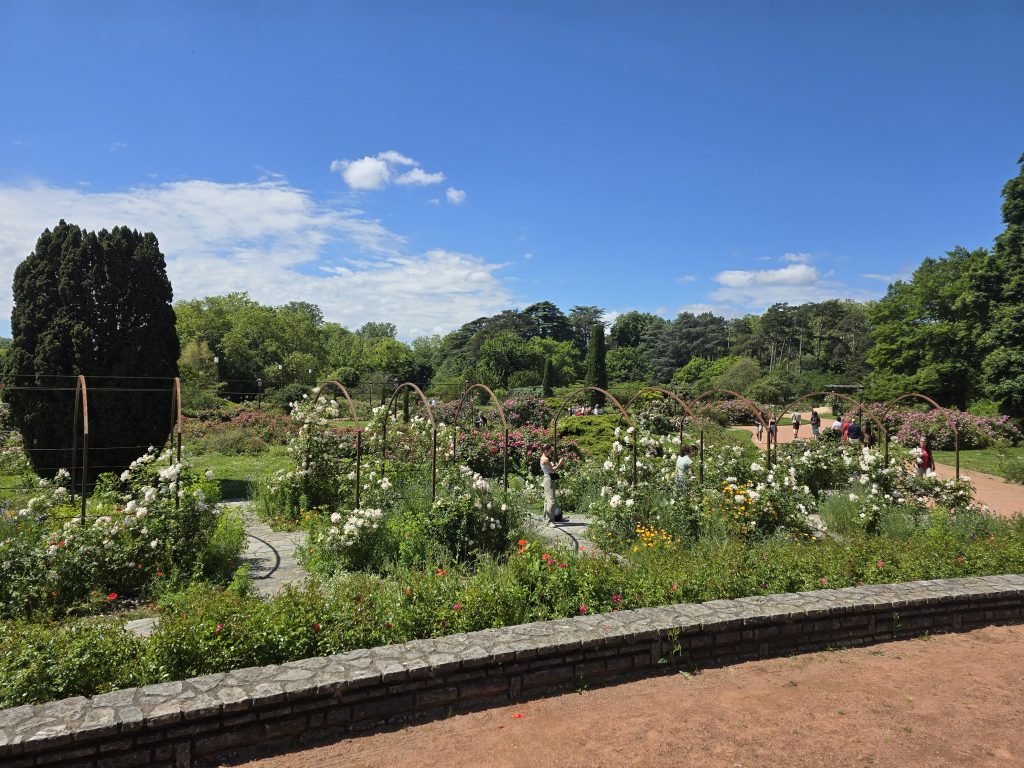 photo parc de la Tête d'Or