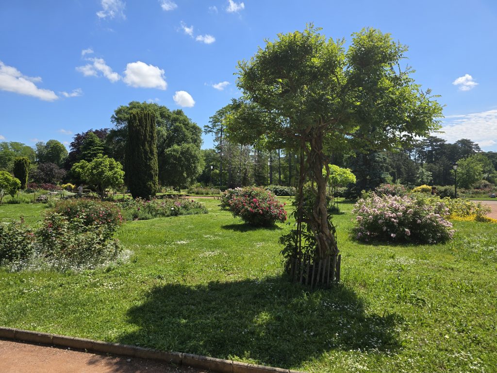 photo parc de la Tête d'Or