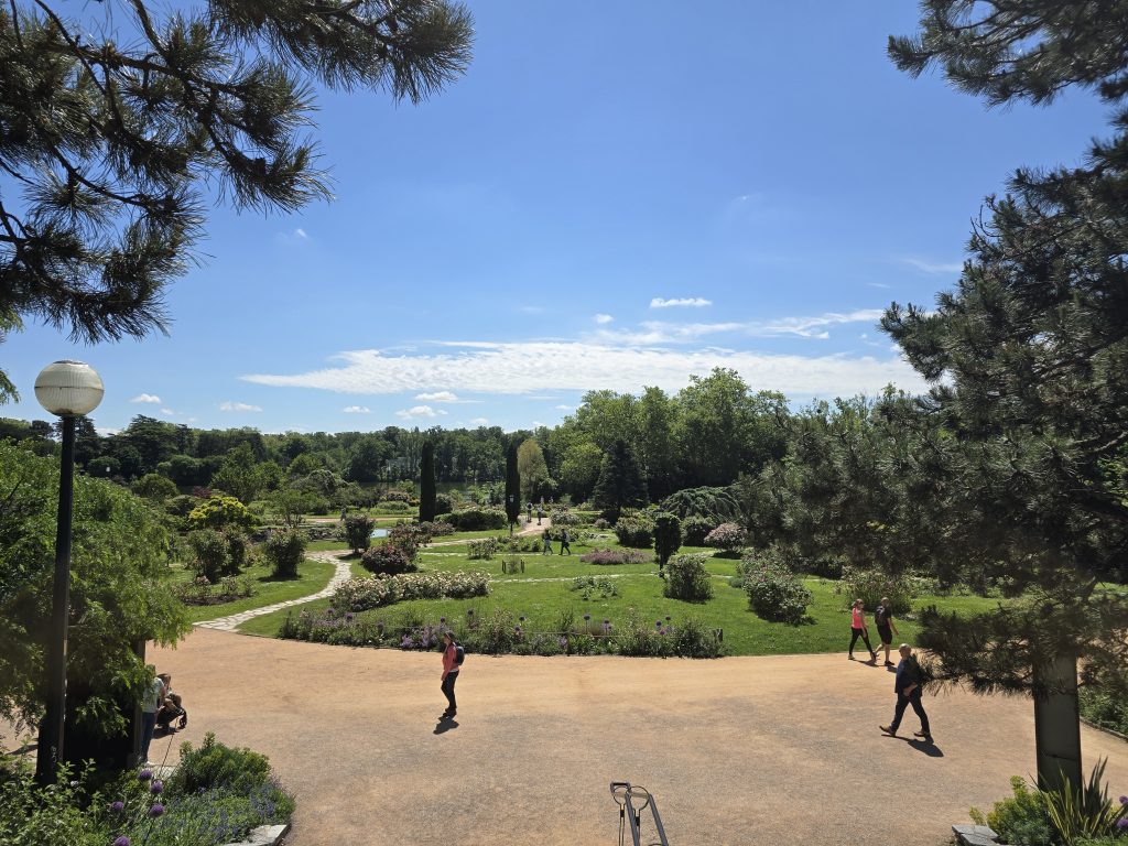 roseraie internationale Parc de la Tête d'Or